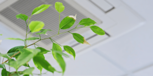 Improving Indoor Air Quality